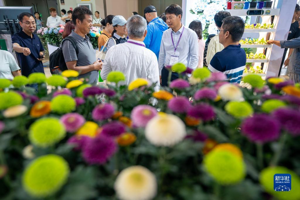 诈金花闷牌技巧